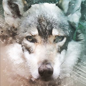 Meet your Posher, Fred